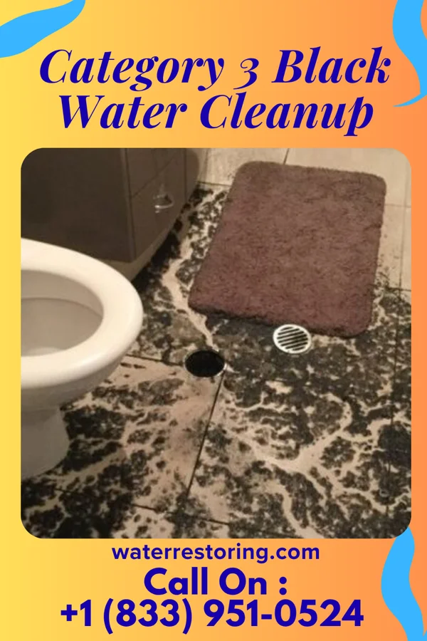 Category 3 Black Water Cleanup in Georgetown, LA