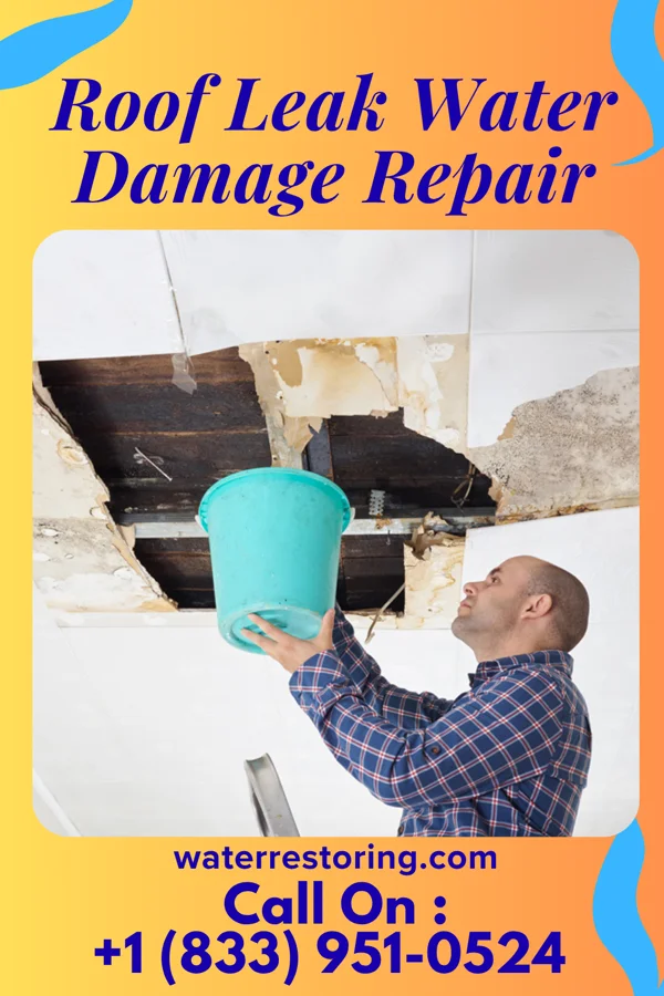Roof Leak Water Damage Repair in Georgetown, LA